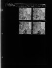 Janiguils on Tar Road (4 Negatives), March 26-27, 1963 [Sleeve 44, Folder c, Box 29]